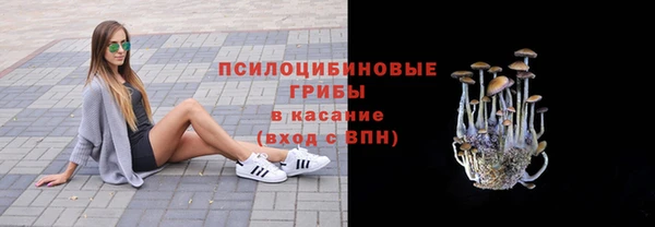 тгк Хадыженск